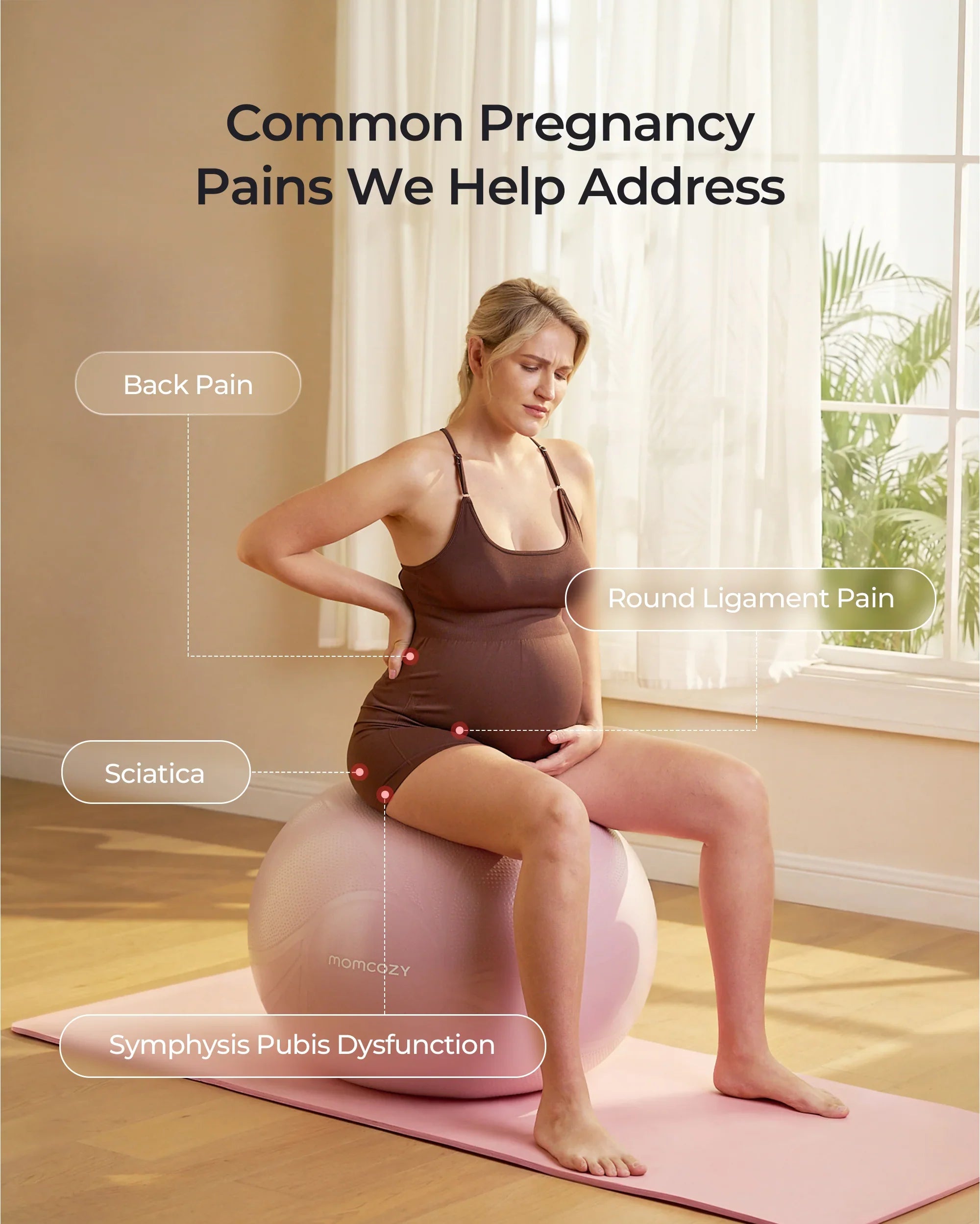 Momcozy BirthEase Maternity Exercise Ball-Petal Sky
