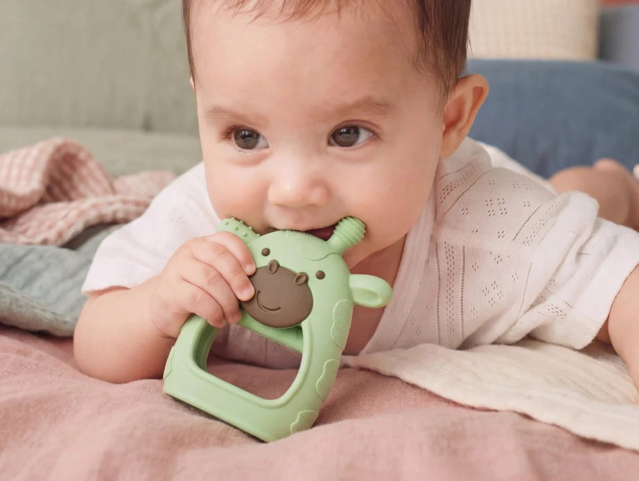 Baby Teether Toys