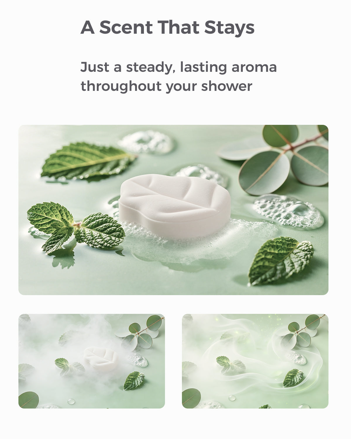 Momcozy Pastilles de Douche Menthe & Eucalyptus (14 pièces)