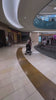 UGC Video oNWEBy