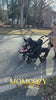 UGC Video vJGkAn
